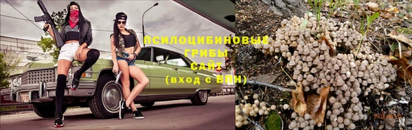 скорость Коряжма
